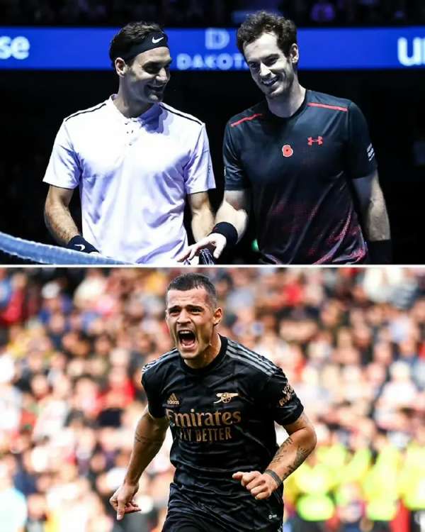 九游登录-穆雷在TES比赛中比赛局势复杂，最后时刻胜出引发热议！观众掌声雷动的简单介绍